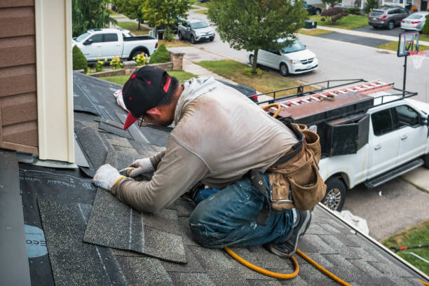 Professional Hail Damage Roof Repair technician working in Hudgins, VA